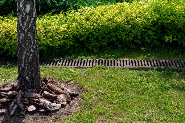 Wet Yard Drainage in Allen