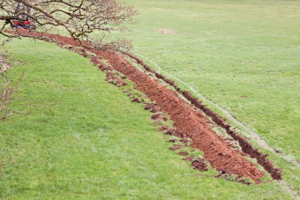 Cost of Swale Installation in Allen