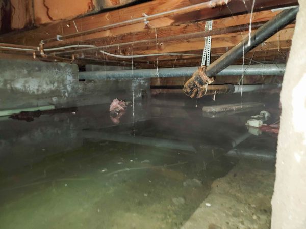 Cost of Crawlspace Drainage in Allen