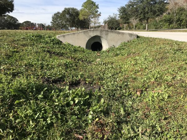 Cost of Swale Drainage Service in Allen